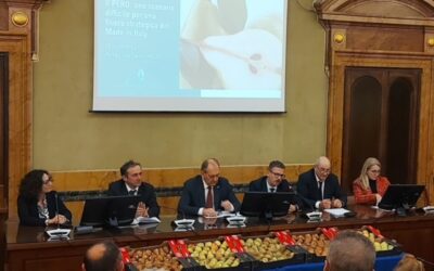 Ortofrutta, Nomisma: perso il 35% delle superfici di pero in dodici anni. Servono ammodernamento e risorse